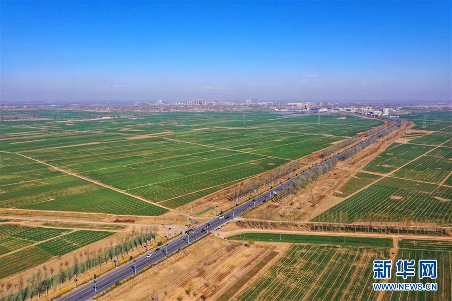 （新華全媒頭條&middot;圖文互動）（2）奮進，向著未來之城！&mdash;&mdash;河北雄安新區(qū)建設(shè)發(fā)展兩周年紀實