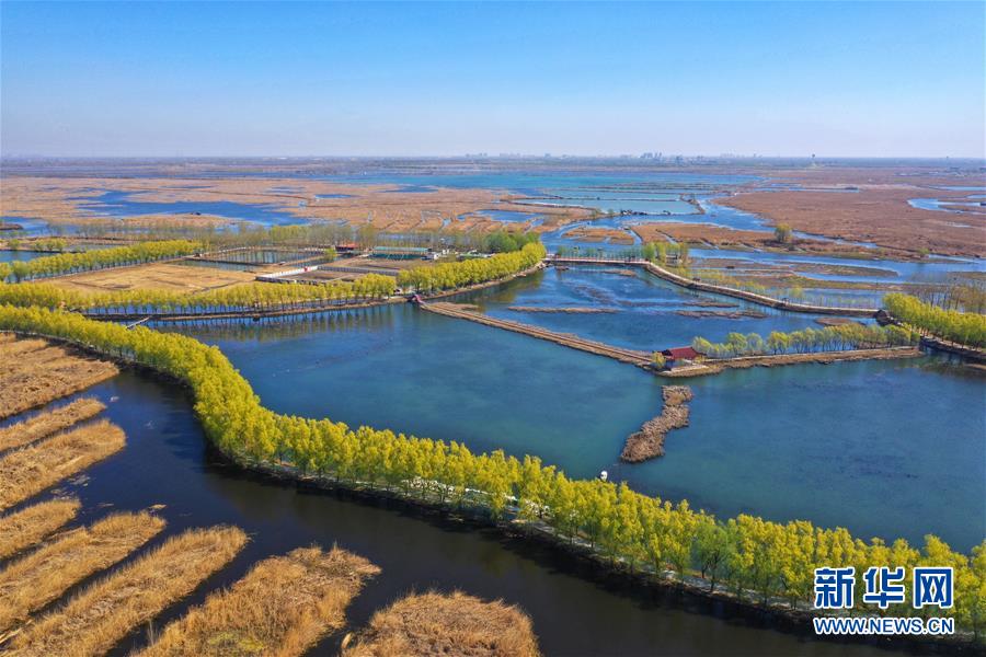 （新華全媒頭條&middot;圖文互動）（5）奮進，向著未來之城！&mdash;&mdash;河北雄安新區(qū)建設(shè)發(fā)展兩周年紀實