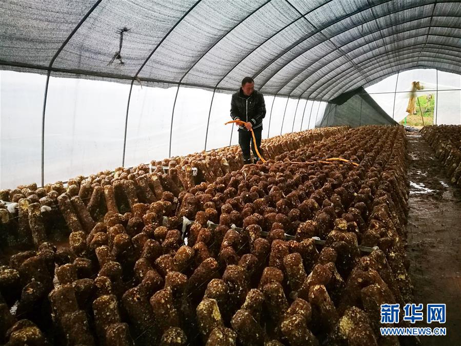 （新華全媒頭條&middot;圖文互動）（1）以生命赴使命 用熱血鑄忠魂&mdash;&mdash;記犧牲在脫貧攻堅戰(zhàn)場上的英雄們