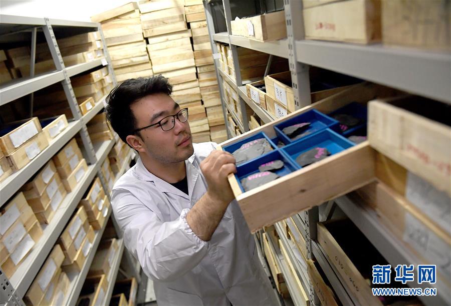 （新華全媒頭條&middot;圖文互動(dòng)）（4）探尋5億年前&ldquo;生命大爆炸&rdquo;之奧秘&mdash;&mdash;中國科學(xué)家發(fā)現(xiàn)寒武紀(jì)&ldquo;化石寶庫&rdquo;清江生物群紀(jì)實(shí)