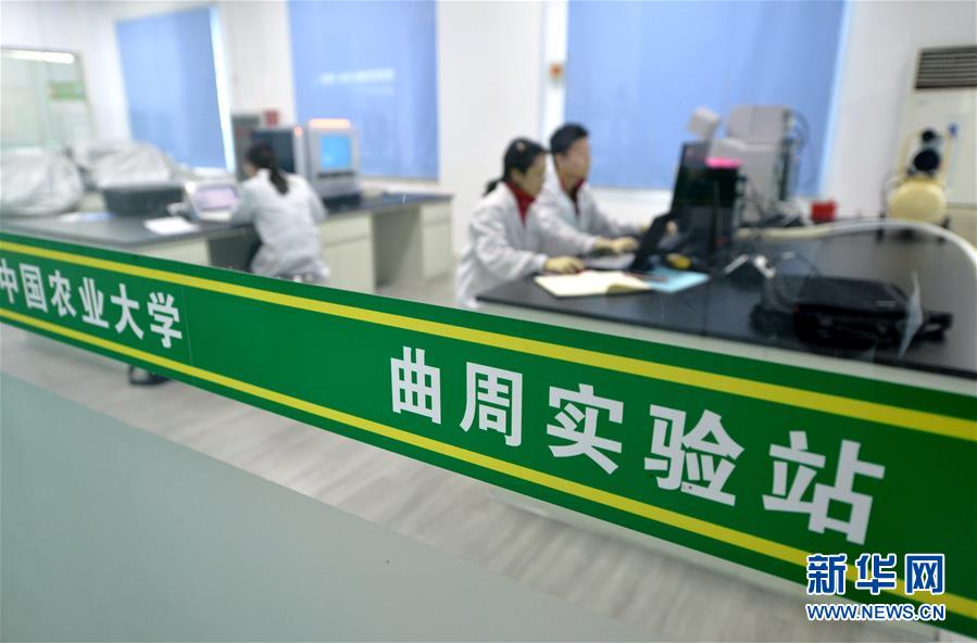 （愛國情 奮斗者&middot;圖文互動(dòng)）（3） &ldquo;解民生之多艱，育天下之英才&rdquo;&mdash;&mdash;中國農(nóng)大師生扎根田野書寫奉獻(xiàn)之歌