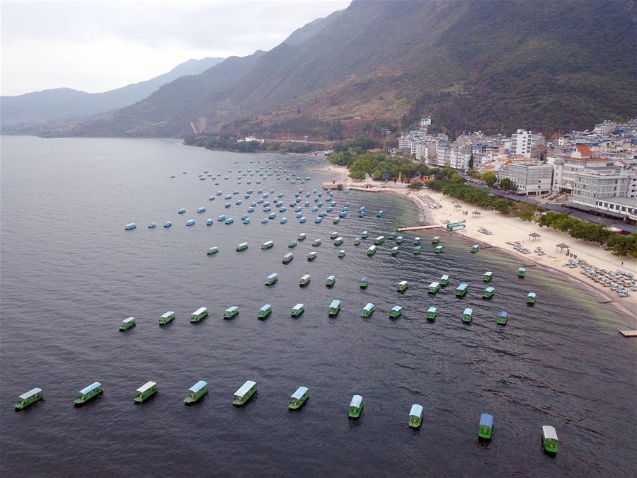 （新華全媒頭條&middot;北京世園會(huì)&middot;圖文互動(dòng)）（14）建設(shè)美麗中國 共筑綠色家園&mdash;&mdash;寫在2019年中國北京世界園藝博覽會(huì)開幕之際