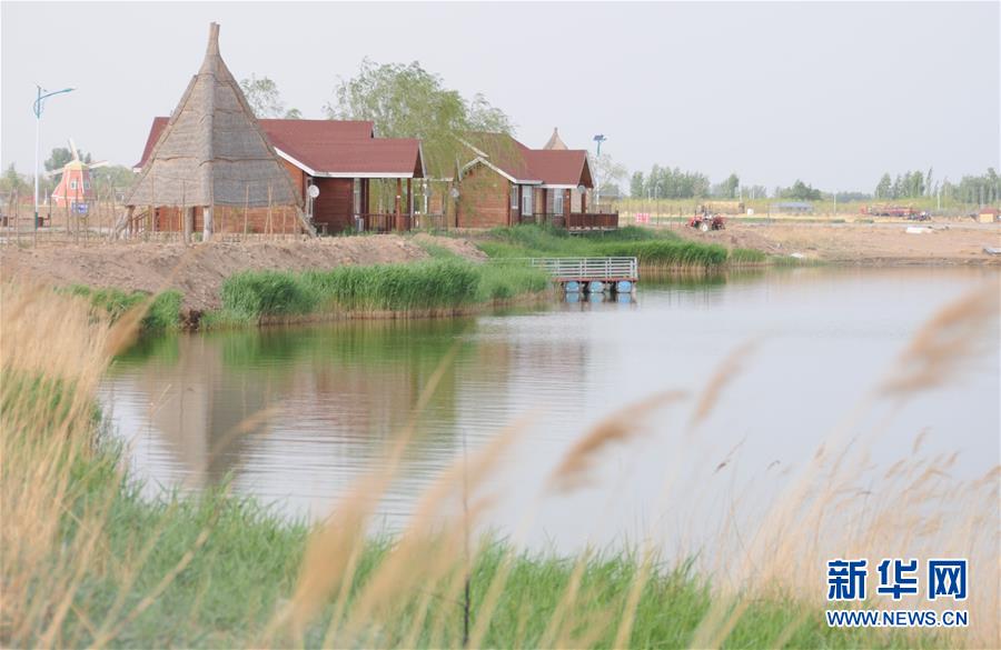 （北京世園會&middot;圖文互動）（4）&ldquo;百湖之鄉(xiāng)&rdquo;磴口縣再現(xiàn)生態(tài)田園風光