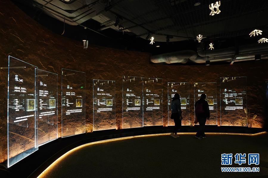 （在習(xí)近平新時(shí)代中國特色社會(huì)主義思想指引下&mdash;&mdash;新時(shí)代新作為新篇章&middot;圖文互動(dòng)）（4）從世園會(huì)&ldquo;看&rdquo;中國綠色發(fā)展之路&mdash;&mdash;寫在北京世園會(huì)&ldquo;中國國家館日&rdquo;到來之際