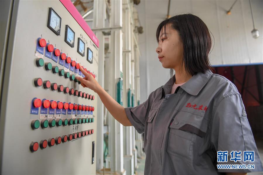 （在習(xí)近平新時(shí)代中國特色社會主義思想指引下&mdash;&mdash;新時(shí)代新作為新篇章&middot;圖文互動(dòng)）（5）大學(xué)生種田讓農(nóng)民&ldquo;老把式&rdquo;開了眼&mdash;&mdash;吉林長白山下的稻田新事