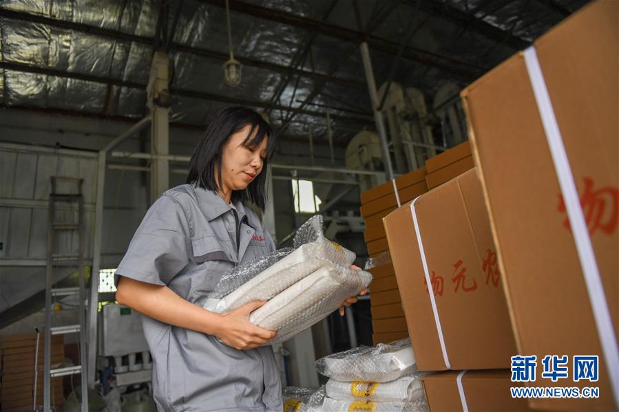 （在習(xí)近平新時(shí)代中國特色社會主義思想指引下&mdash;&mdash;新時(shí)代新作為新篇章&middot;圖文互動(dòng)）（6）大學(xué)生種田讓農(nóng)民&ldquo;老把式&rdquo;開了眼&mdash;&mdash;吉林長白山下的稻田新事