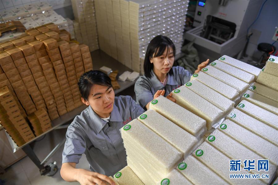 （在習(xí)近平新時(shí)代中國特色社會主義思想指引下&mdash;&mdash;新時(shí)代新作為新篇章&middot;圖文互動(dòng)）（7）大學(xué)生種田讓農(nóng)民&ldquo;老把式&rdquo;開了眼&mdash;&mdash;吉林長白山下的稻田新事