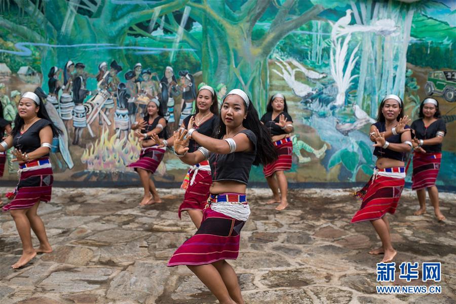 （直過民族脫貧攻堅(jiān)&middot;圖文互動(dòng)）（2）又見白鷴鳥