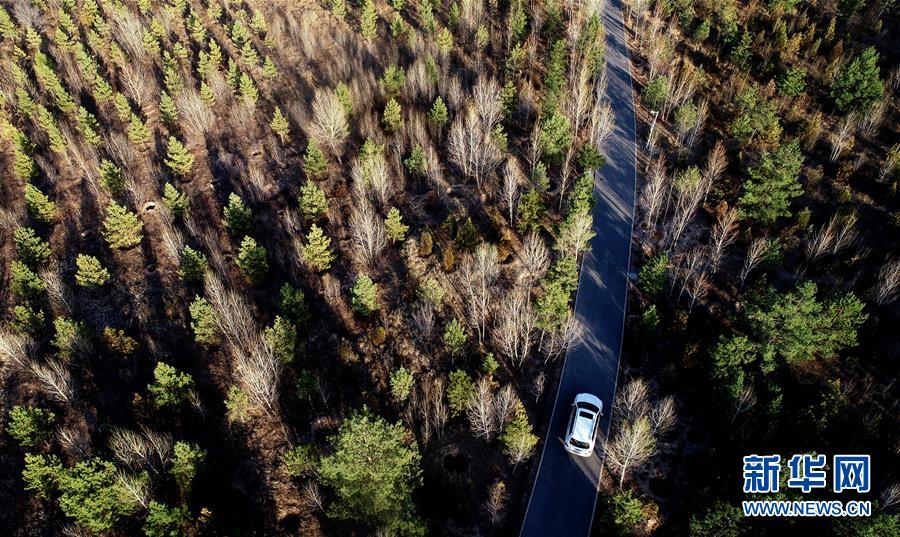 （壯麗70年&middot;奮斗新時(shí)代&middot;圖文互動）（12）毛烏素治理：眾志縛流沙 塞外展新顏