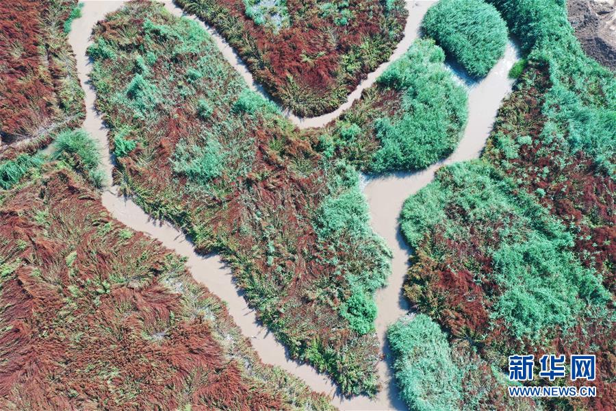 （在習近平新時代中國特色社會主義思想指引下&mdash;&mdash;新時代新作為新篇章&middot;圖文互動）（6）山水之變看交城