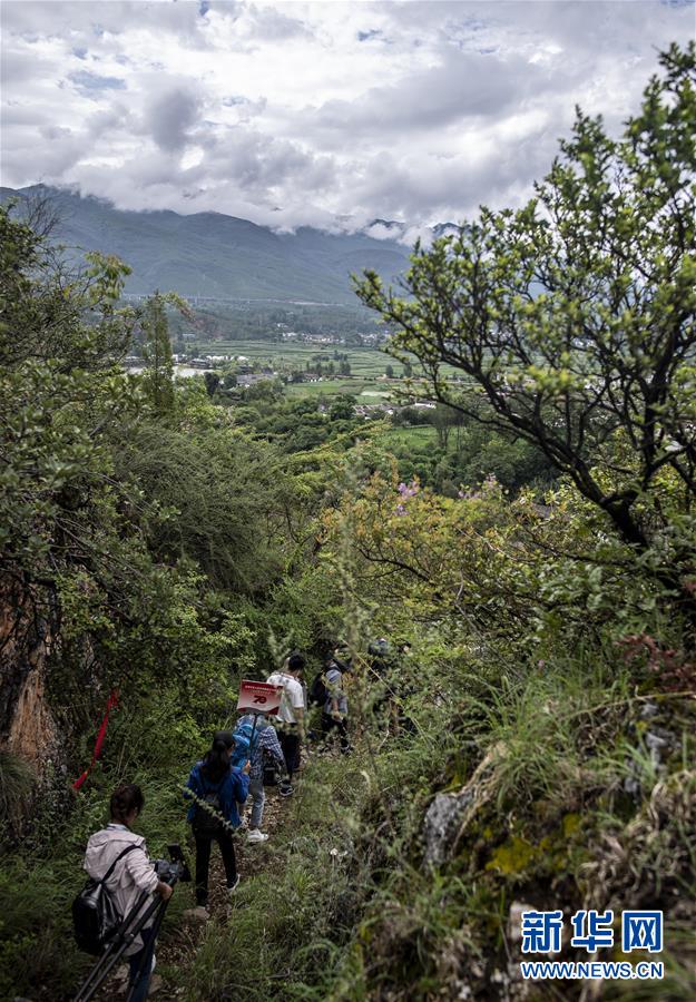 （壯麗70年&middot;奮斗新時(shí)代&mdash;&mdash;記者再走長(zhǎng)征路&middot;圖文互動(dòng)）（2）麗江古城的紅色記憶