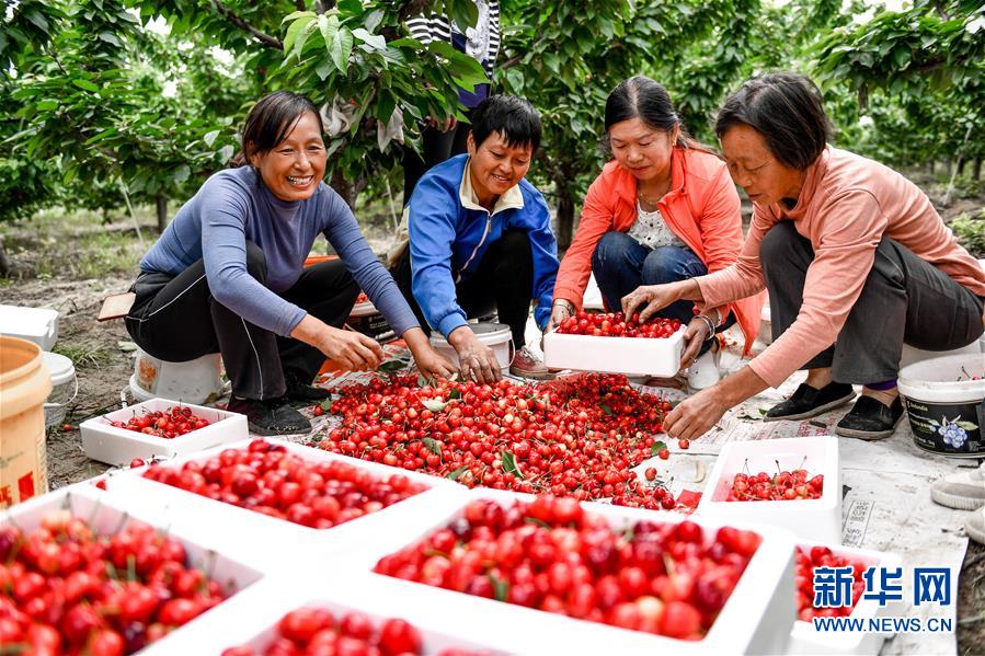 （在習(xí)近平新時(shí)代中國特色社會主義思想指引下&mdash;&mdash;新時(shí)代新作為新篇章&middot;圖文互動）（2）中條山下綠意濃&mdash;&mdash;一個(gè)&ldquo;資源窮縣&rdquo;的生態(tài)發(fā)展之路