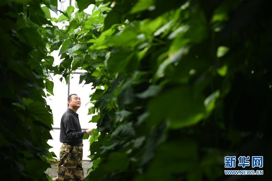 (壯麗70年·奮斗新時代——共和國發(fā)展成就巡禮·圖文互動)(7)以“綠色”身姿站上發(fā)展前沿——甘肅綠色轉(zhuǎn)型發(fā)展紀實