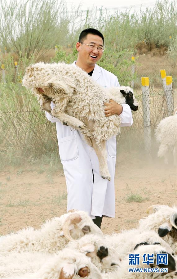 （壯麗70年&middot;奮斗新時(shí)代&mdash;&mdash;共和國發(fā)展成就巡禮&middot;圖文互動(dòng)）（3）生態(tài)美、百姓富&mdash;&mdash;品讀嶄新&ldquo;寧夏畫卷&rdquo;