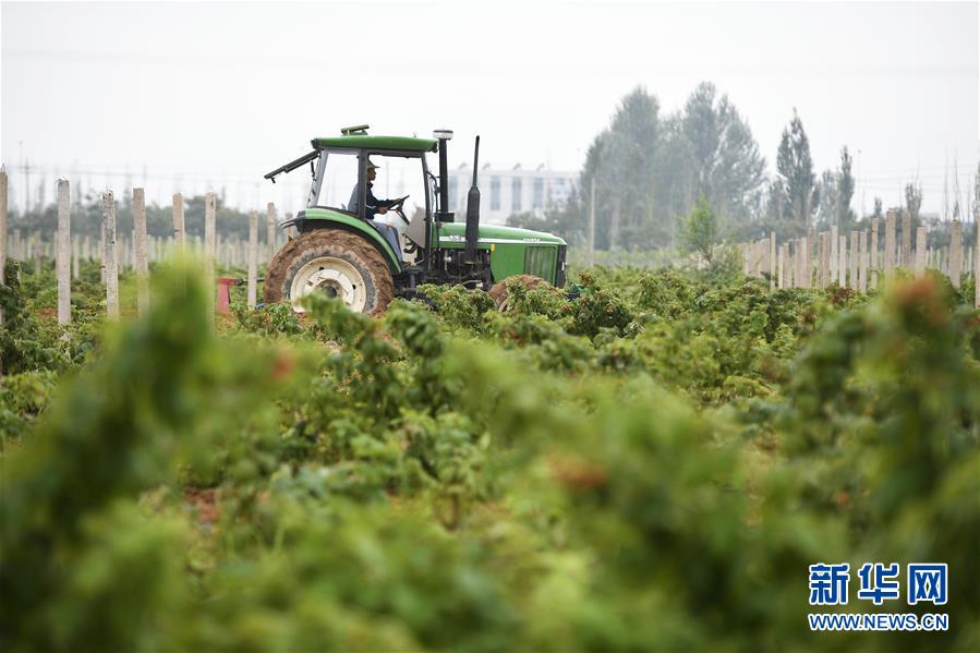 （壯麗70年&middot;奮斗新時(shí)代&mdash;&mdash;共和國發(fā)展成就巡禮&middot;圖文互動(dòng)）（10）生態(tài)美、百姓富&mdash;&mdash;品讀嶄新&ldquo;寧夏畫卷&rdquo;