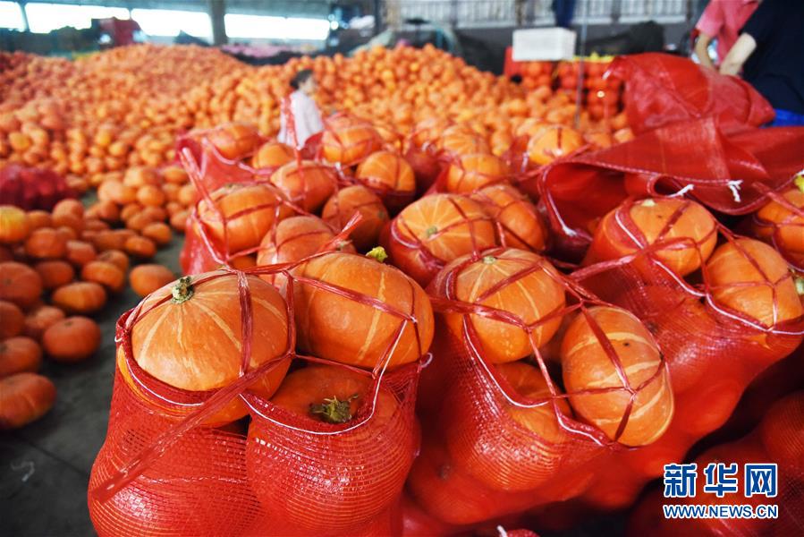 （壯麗70年&middot;奮斗新時代&mdash;&mdash;共和國發(fā)展成就巡禮）（6）看今朝齊風(fēng)魯韻　七十載芳華正勁&mdash;&mdash;新中國成立以來山東領(lǐng)先發(fā)展紀(jì)實