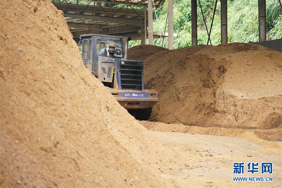 （在習(xí)近平新時代中國特色社會主義思想指引下&mdash;&mdash;新時代新作為新篇章&middot;總書記關(guān)心的百姓身邊事&middot;圖文互動）（4）大污染變身&ldquo;大寶藏&rdquo;：治理畜禽糞污，他們這樣干！