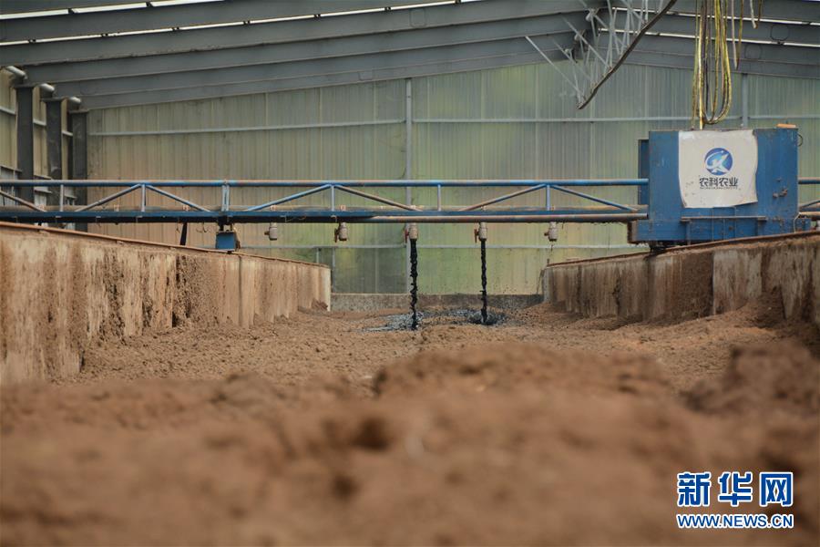 （在習(xí)近平新時代中國特色社會主義思想指引下&mdash;&mdash;新時代新作為新篇章&middot;總書記關(guān)心的百姓身邊事&middot;圖文互動）（5）大污染變身&ldquo;大寶藏&rdquo;：治理畜禽糞污，他們這樣干！