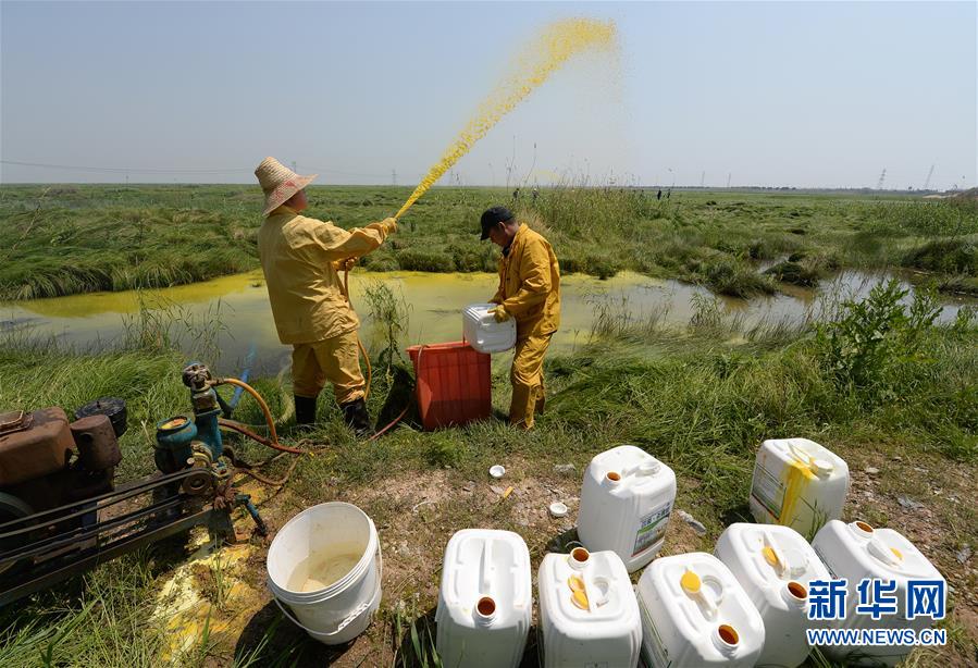 （紅土地&ldquo;往事新說&rdquo;&middot;圖文互動(dòng)）（7）昔日送&ldquo;瘟神&rdquo;  今朝健康促小康