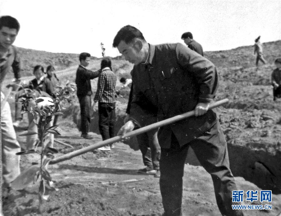 (紅土地“往事新說”·圖文互動)(1)昔日房前“一棵苗” 今朝引來橙滿枝