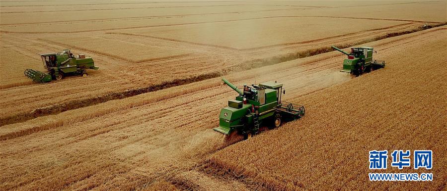 （新華全媒頭條&middot;圖文互動(dòng)）（1）大國糧倉的新時(shí)代交響&mdash;&mdash;河南農(nóng)業(yè)70年觀察