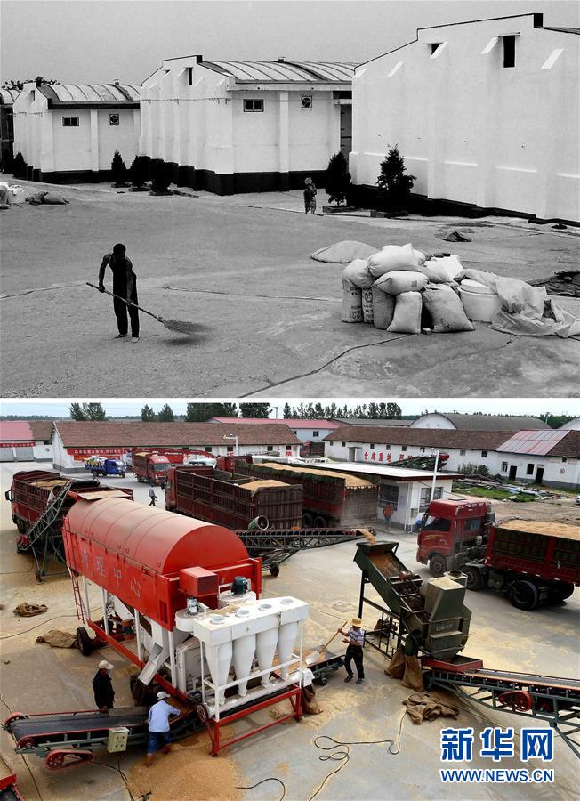 （新華全媒頭條&middot;圖文互動(dòng)）（9）大國糧倉的新時(shí)代交響&mdash;&mdash;河南農(nóng)業(yè)70年觀察