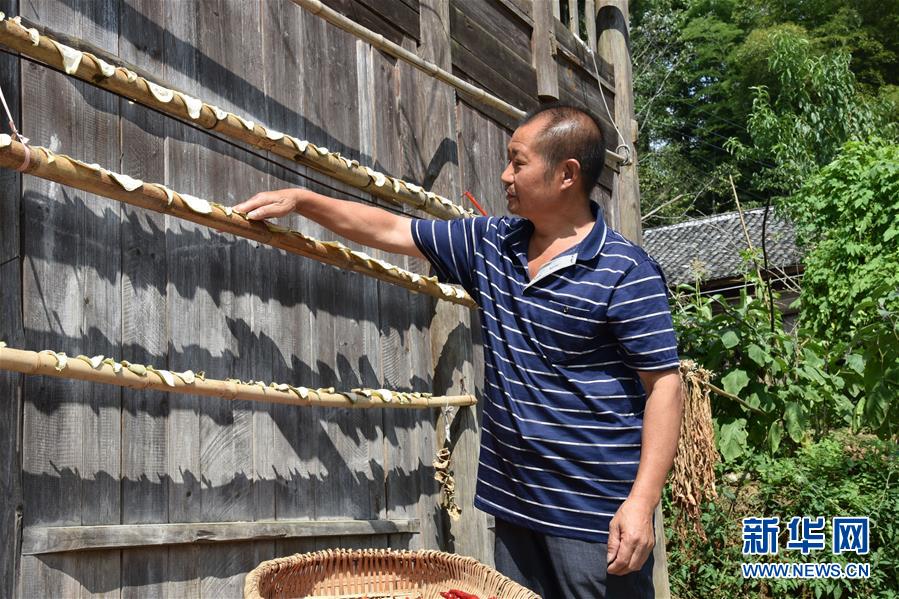 （愛國情 奮斗者&middot;圖文互動）（2）貴州印江高石坎護林隊：半輩子，以林場為家