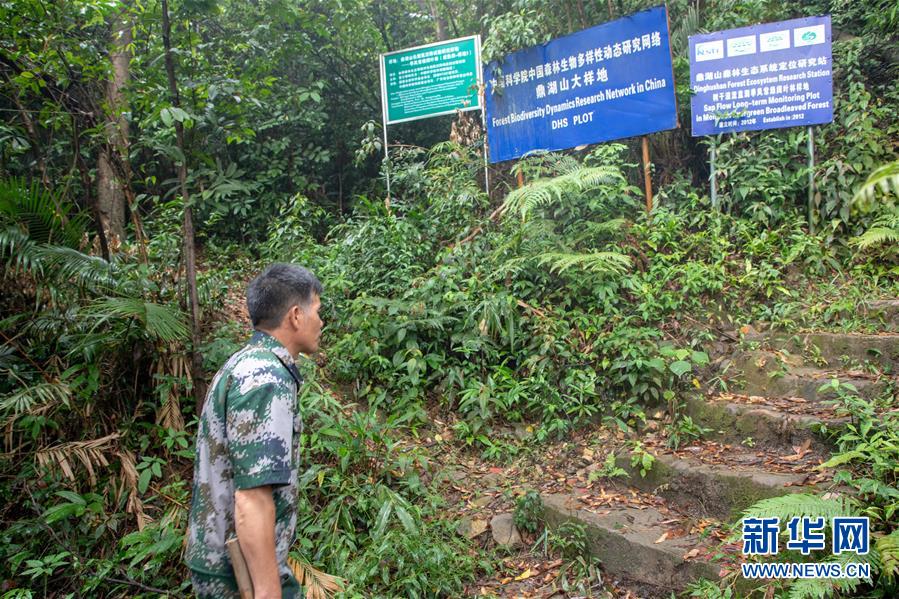 （圖文互動）（2）科學(xué)接續(xù)保護(hù) 守住生態(tài)紅線&mdash;&mdash;探訪&ldquo;北回歸沙漠帶上的綠色明珠&rdquo;