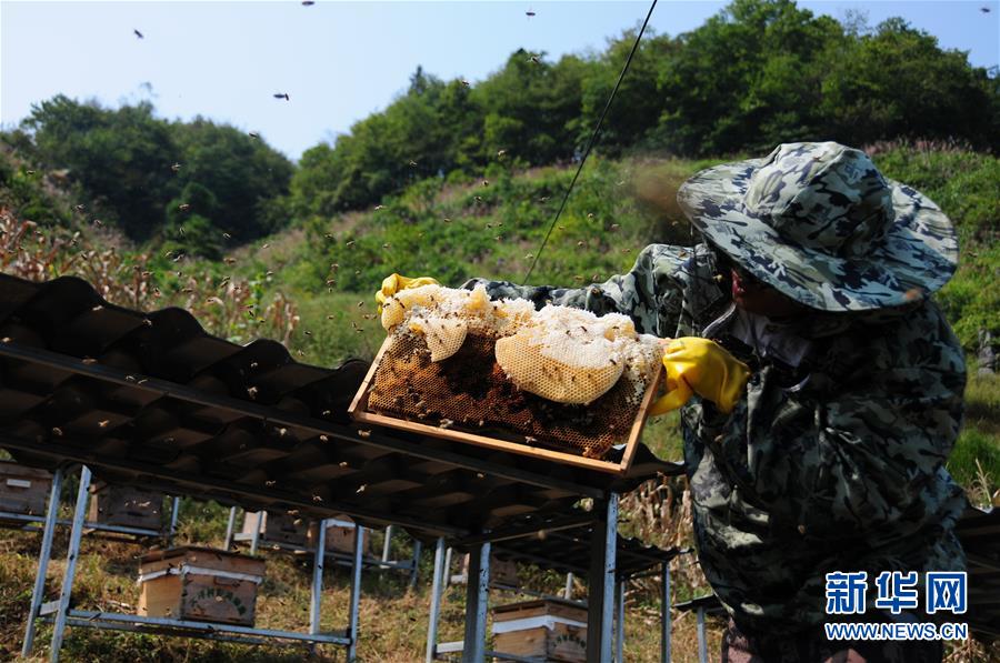 （新華全媒頭條&middot;圖文互動）（4）永不歸來的&ldquo;戰(zhàn)士&rdquo;&mdash;&mdash;追記倒在脫貧攻堅一線的貴州沿河縣駐村第一書記文偉紅