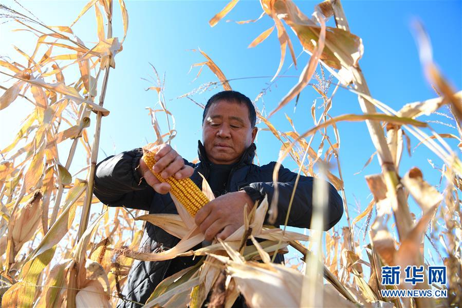 （在習(xí)近平新時(shí)代中國(guó)特色社會(huì)主義思想指引下&mdash;&mdash;新時(shí)代新作為新篇章&middot;總書(shū)記關(guān)心的百姓身邊事&middot;圖文互動(dòng)）（3）一本&ldquo;村官&rdquo;日記里的扶貧路&mdash;&mdash;小故事里的大情懷之四