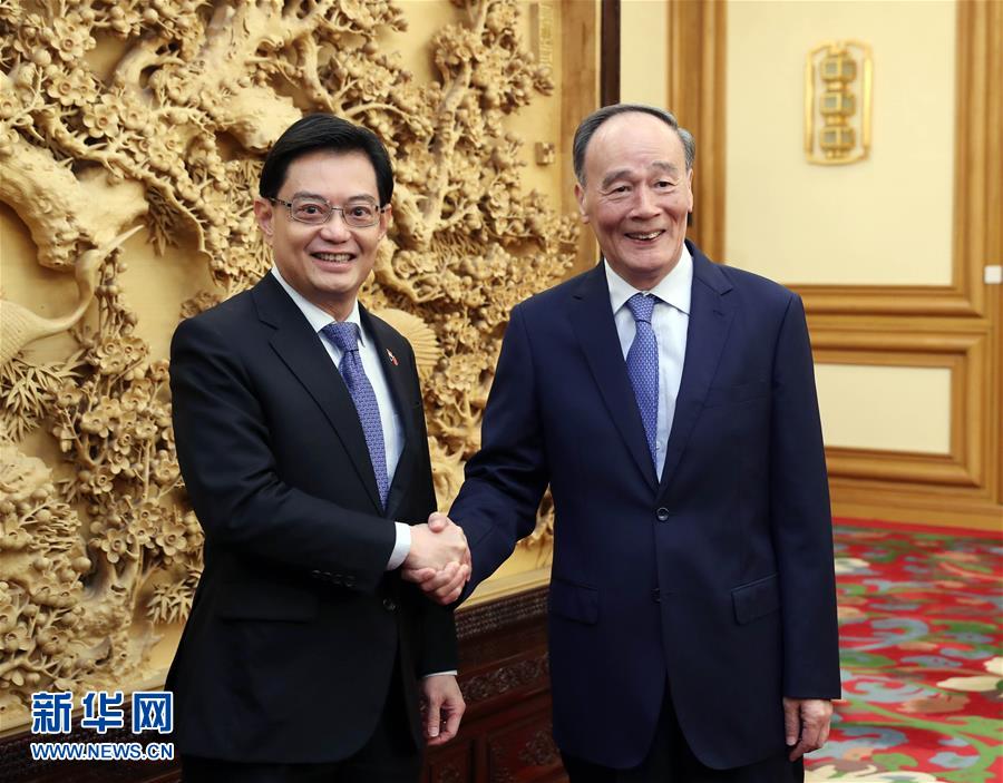 (時(shí)政)王岐山會(huì)見新加坡副總理兼財(cái)政部長王瑞杰
