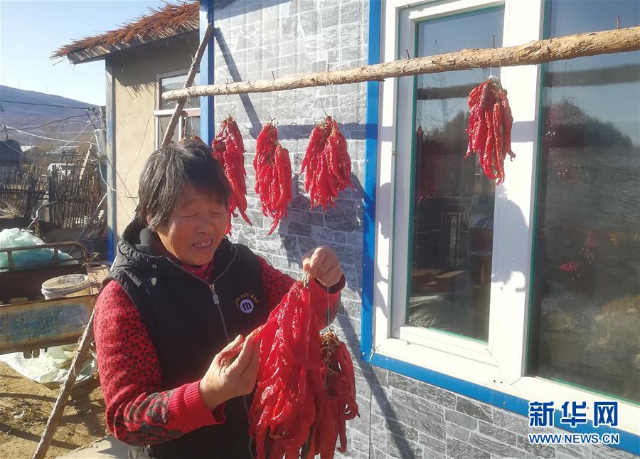 （在習(xí)近平新時代中國特色社會主義思想指引下&mdash;&mdash;新時代新作為新篇章&middot;總書記關(guān)心的百姓身邊事&middot;圖文互動）（3）一個貧困山村的振興新動能&mdash;&mdash;小故事里的大情懷之五