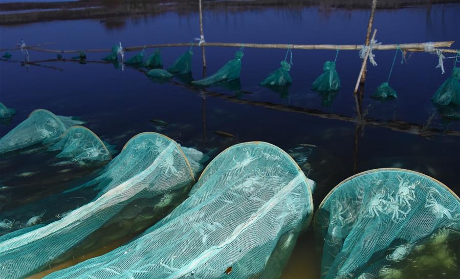 （在習(xí)近平新時(shí)代中國特色社會(huì)主義思想指引下&mdash;&mdash;新時(shí)代新作為新篇章&middot;總書記關(guān)心的百姓身邊事&middot;圖文互動(dòng)）（2）水潤民心&mdash;&mdash;全國農(nóng)村飲水安全攻堅(jiān)成效觀察