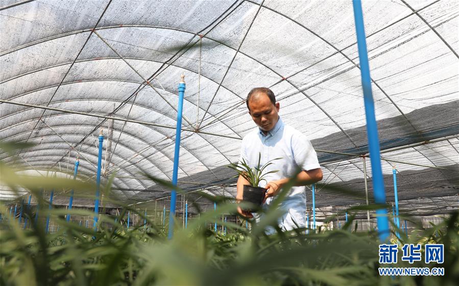 （在習(xí)近平新時(shí)代中國(guó)特色社會(huì)主義思想指引下&mdash;&mdash;新時(shí)代新作為新篇章&middot;總書(shū)記關(guān)心的百姓身邊事&middot;圖文互動(dòng)）（4）&ldquo;科技秀才&rdquo;給田野帶來(lái)新希望