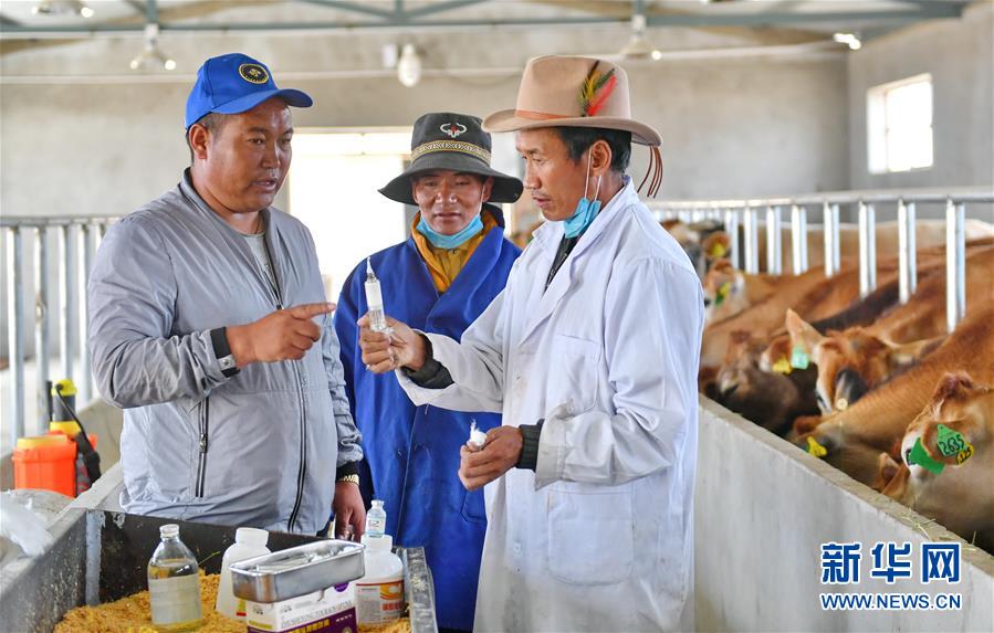 （新華全媒頭條&middot;決戰(zhàn)決勝脫貧攻堅(jiān)&middot;圖文互動(dòng)）（4）歷史的決戰(zhàn)　偉大的創(chuàng)舉&mdash;&mdash;&ldquo;世界屋脊&rdquo;上的反貧困奇跡 