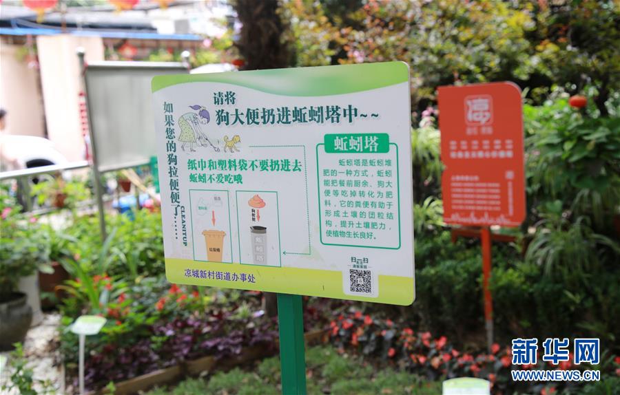 (新華全媒頭條·圖文互動(dòng))(5)上海:“三只桶”里看變化