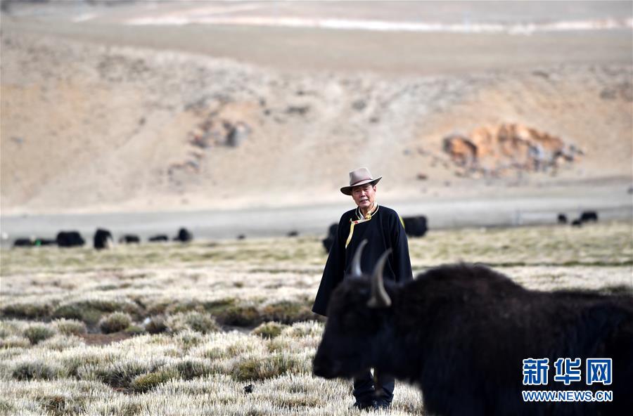 （新華全媒頭條&middot;圖文互動(dòng)）（1）&ldquo;老牦牛&rdquo;亞格博的西藏情緣&mdash;&mdash;記北京援藏干部吳雨初