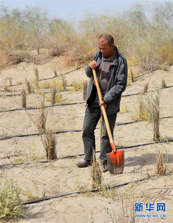 （新華全媒頭條&middot;圖文互動(dòng)）（4）大漠小城的絕地反擊