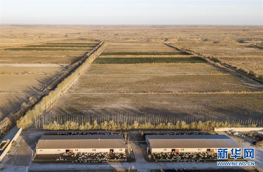 （新華全媒頭條&middot;圖文互動(dòng)）（8）大漠小城的絕地反擊