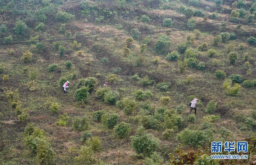 （新華全媒頭條&middot;圖文互動(dòng)）（12）烏蒙歡歌高鐵來&mdash;&mdash;寫在成貴高鐵通車之際
