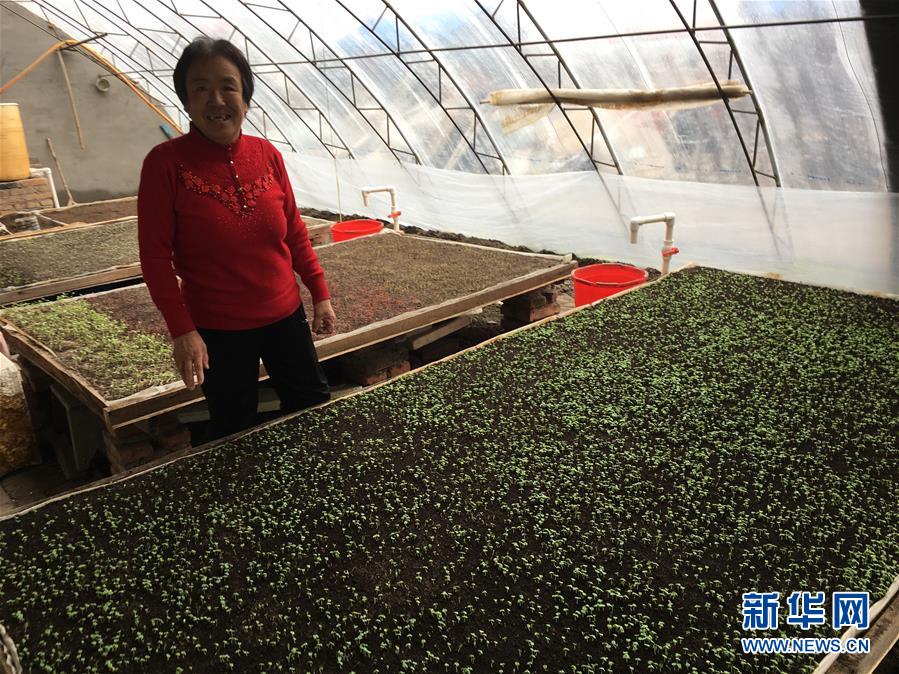 （脫貧攻堅&middot;圖文互動）（1）中國東極故事之三：&ldquo;花匠&rdquo;姜連玉的&ldquo;重生&rdquo;路