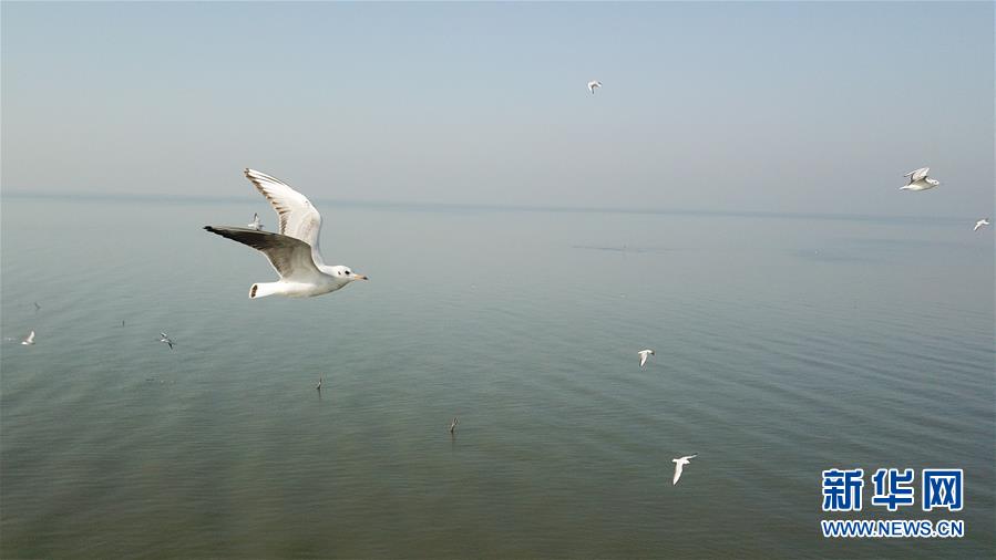 （新華全媒頭條&middot;圖文互動(dòng)）（1）大湖見證&mdash;&mdash;長三角三大淡水湖綠色發(fā)展之路