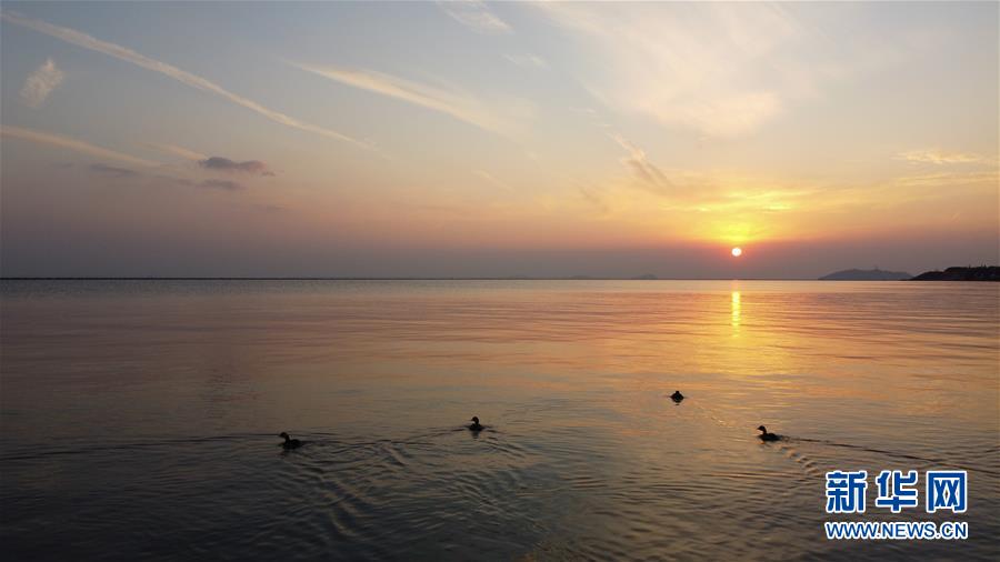 （新華全媒頭條&middot;圖文互動(dòng)）（4）大湖見證&mdash;&mdash;長三角三大淡水湖綠色發(fā)展之路