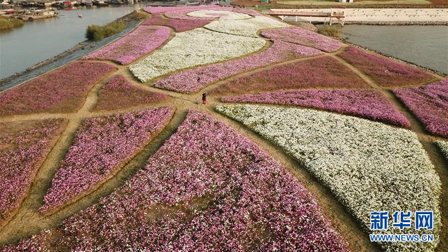 （新華全媒頭條&middot;圖文互動(dòng)）（5）大湖見證&mdash;&mdash;長三角三大淡水湖綠色發(fā)展之路