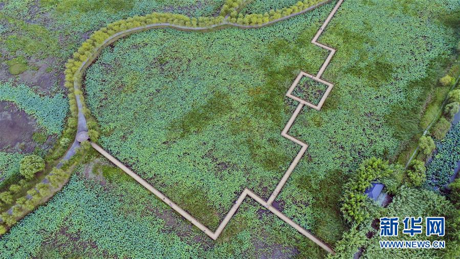 （新華全媒頭條&middot;圖文互動(dòng)）（9）大湖見證&mdash;&mdash;長三角三大淡水湖綠色發(fā)展之路