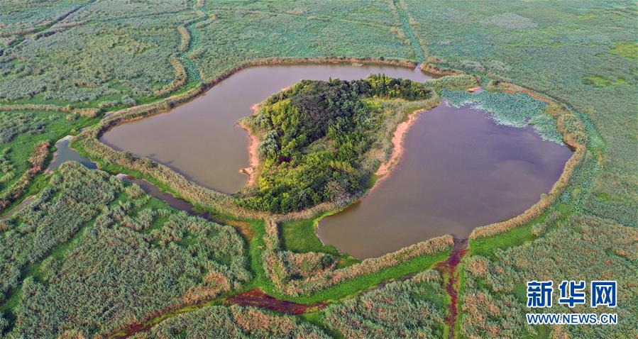 （新華全媒頭條&middot;圖文互動(dòng)）（13）大湖見證&mdash;&mdash;長三角三大淡水湖綠色發(fā)展之路