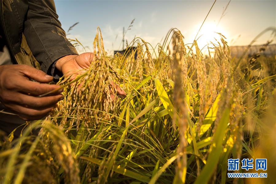 （新華全媒頭條&middot;圖文互動）（5）上下同心再出發(fā)&mdash;&mdash;習近平總書記同出席2019年全國兩會人大代表、政協(xié)委員共商國是紀實