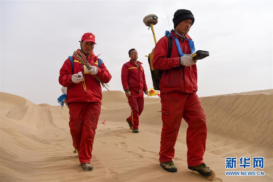 （新春走基層&middot;圖文互動）（14）寒冬里，&ldquo;沙漠玫瑰&rdquo;猶自綻放