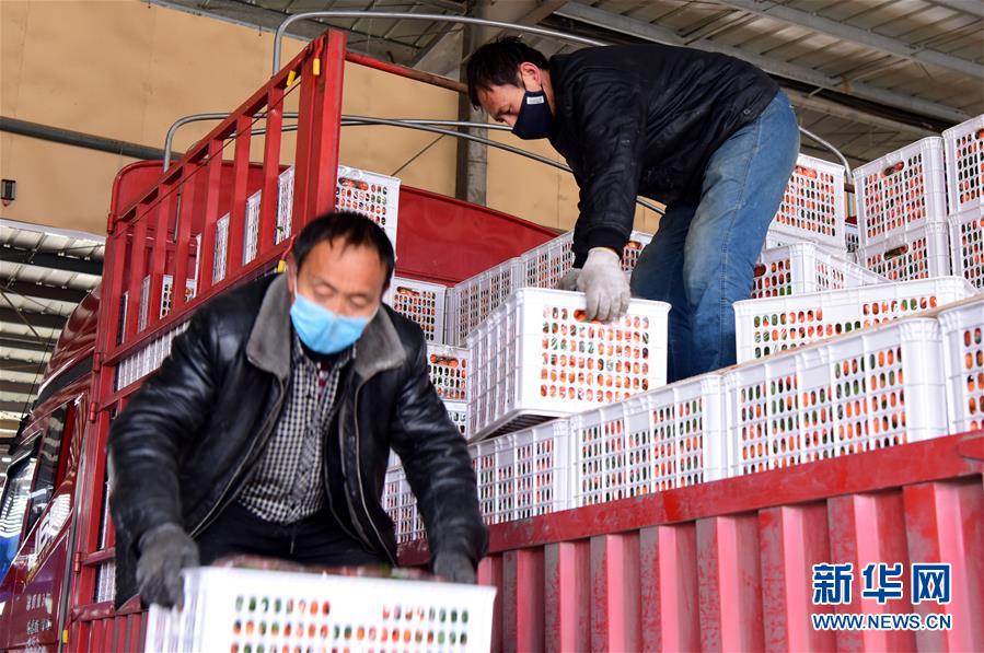 （聚焦疫情防控&middot;圖文互動(dòng)）（5）吃的東西充足，做點(diǎn)花樣菜吧！&mdash;&mdash;中部地區(qū)最大農(nóng)產(chǎn)品批發(fā)市場(chǎng)見(jiàn)聞 