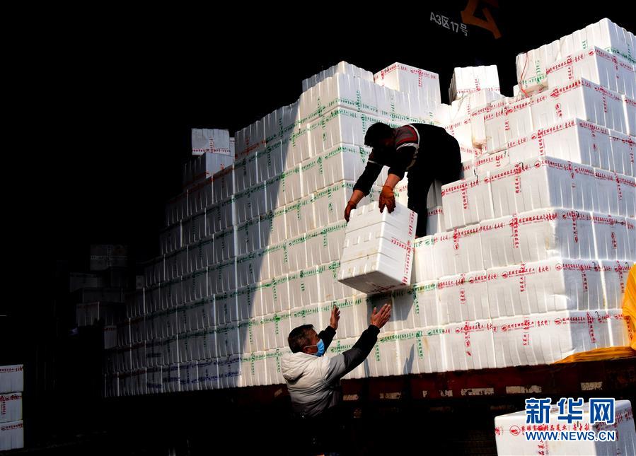 （聚焦疫情防控&middot;圖文互動(dòng)）（4）吃的東西充足，做點(diǎn)花樣菜吧！&mdash;&mdash;中部地區(qū)最大農(nóng)產(chǎn)品批發(fā)市場(chǎng)見(jiàn)聞 